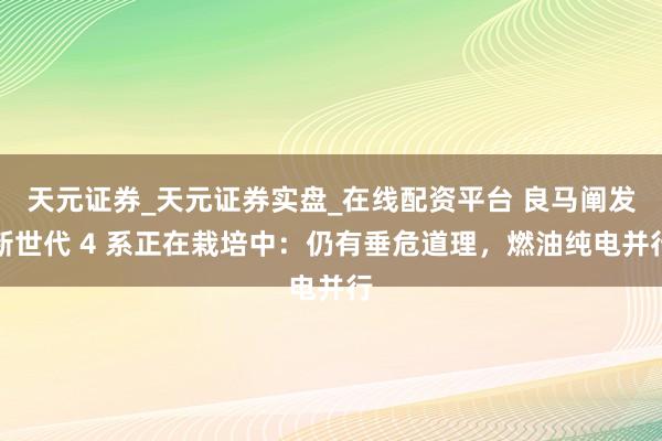 天元证券_天元证券实盘_在线配资平台 良马阐发新世代 4 系正在栽培中：仍有垂危道理，燃油纯电并行